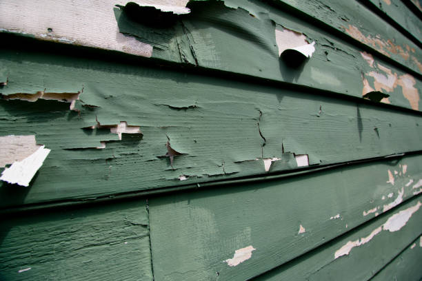 Best Garage Cleanout  in Pass Christian, MS